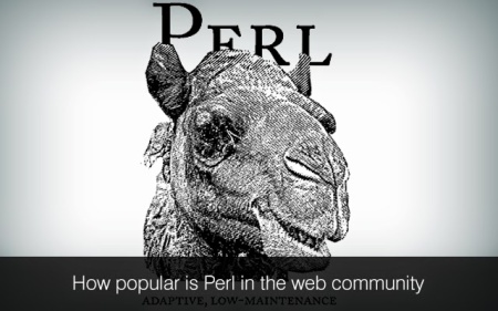 perl web programming