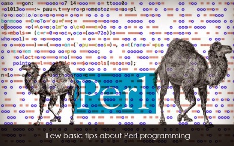 Perl development